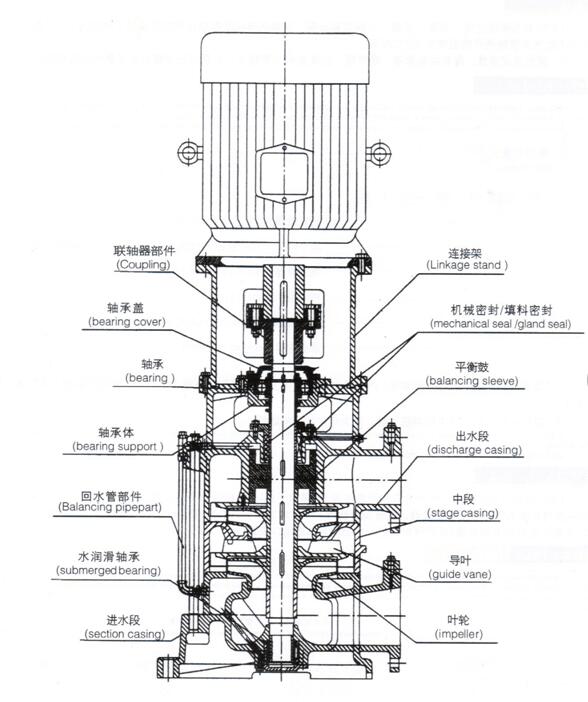 大東海泵業(yè)立式多級泵結構圖