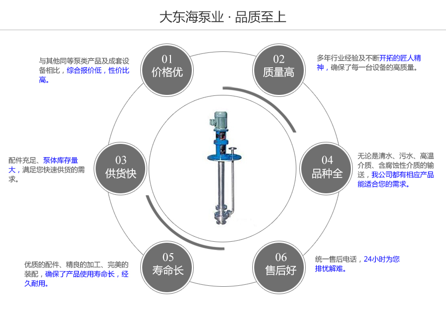 大東海泵業(yè)YWP型不銹鋼液下泵質量保證圖