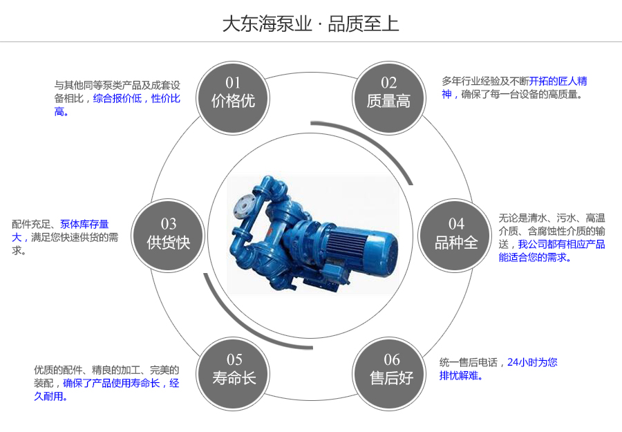 大東海泵業(yè)電動隔膜泵質量保證圖