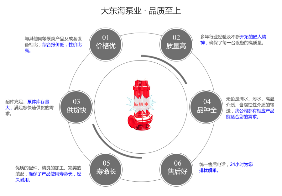 大東海泵業(yè)WQR型耐高溫污水泵質(zhì)量保證圖